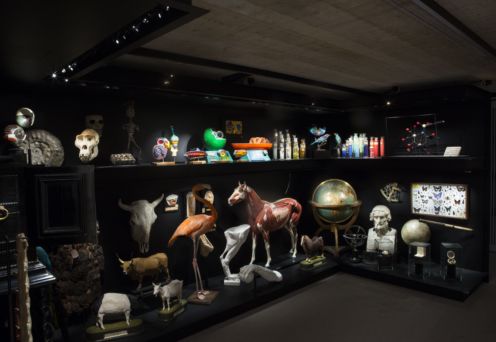 Cabinet de curiosités – Musée L © A_Haulot