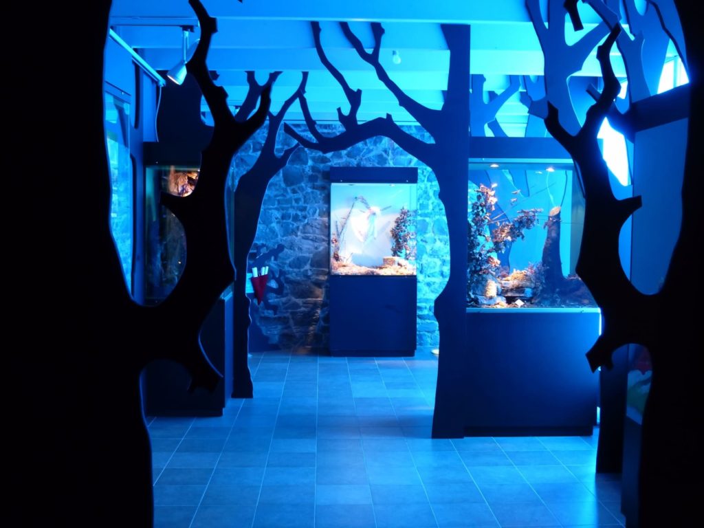 photo Musée de la Grande Ardenne