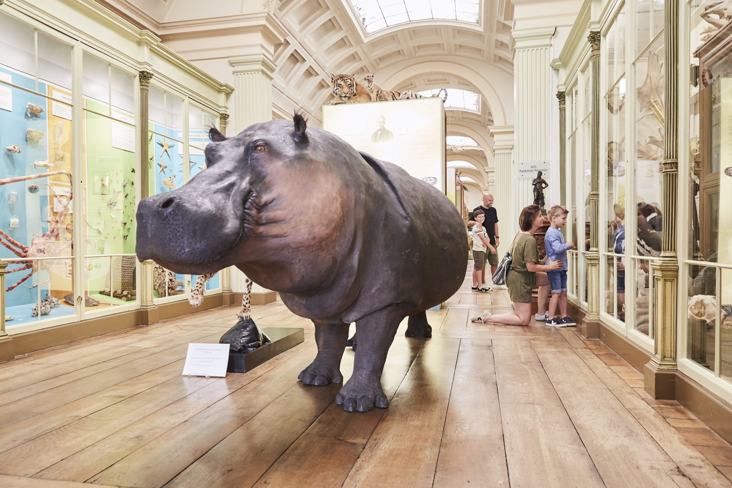 photo Musée d&rsquo;Histoire naturelle (MHN) et Vivarium