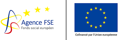 Logo Agence FSE