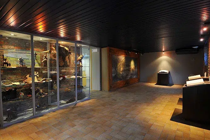 photo Musée de la forêt et des eaux | Domaine de Bérinzenne
